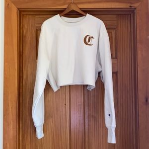 EUC Champion Crop sweatshirt in size 2XL